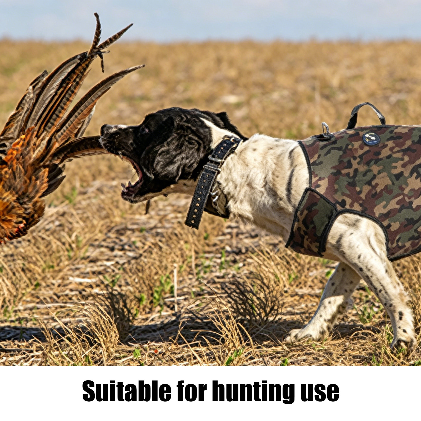 Camouflage Hunting Dog Clothes - Hunting Dog Outdoor recensie en prijs