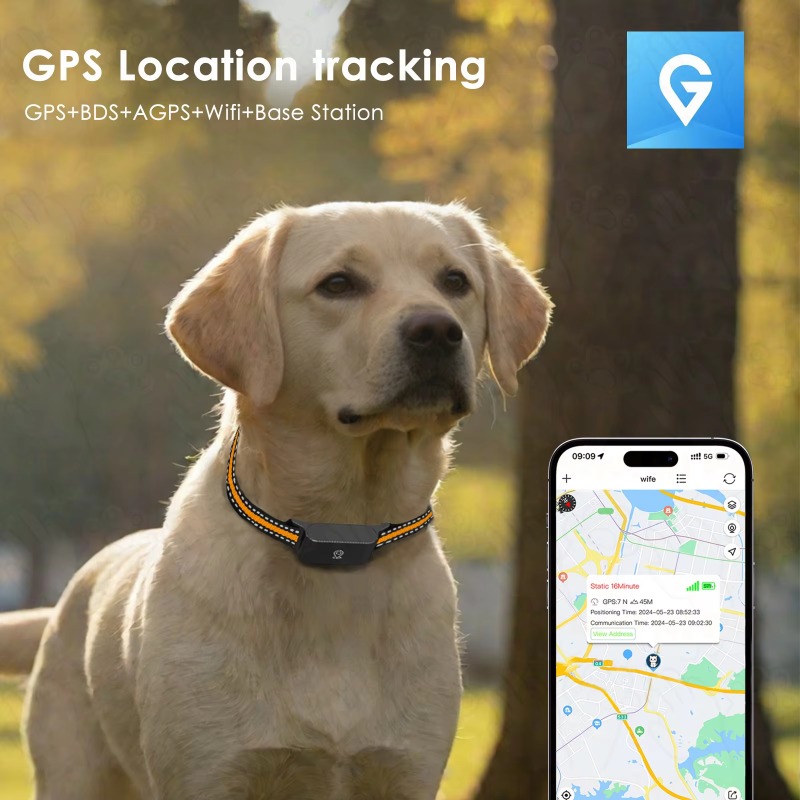 Dog GPS Tracker Outdoor Campin - Hunting Dog Outdoor recensie en prijs