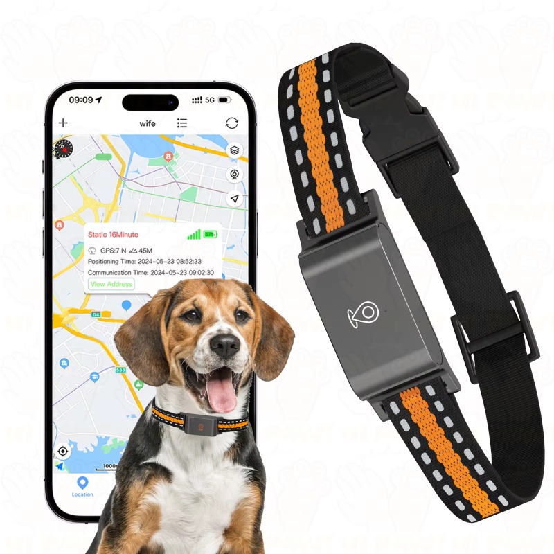Dog GPS Tracker Outdoor Campin - Hunting Dog Outdoor recensie en prijs